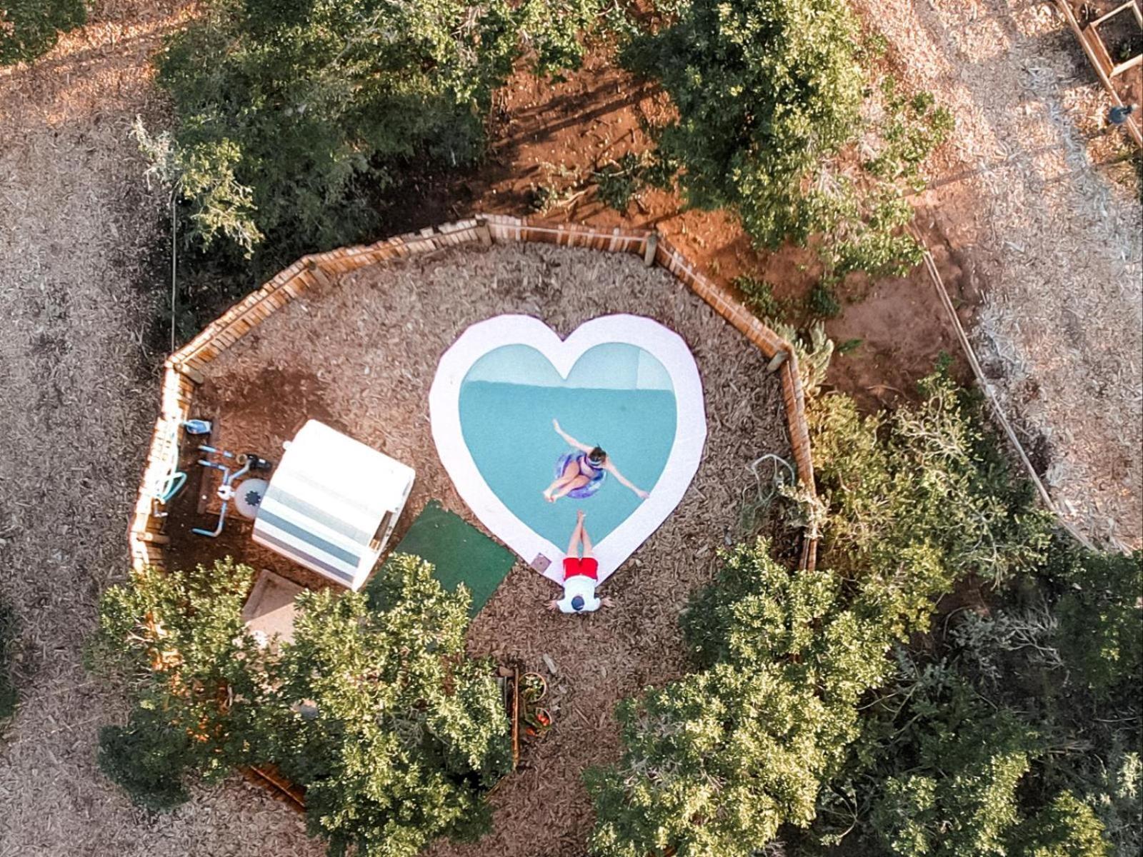 Treedom Villas And Vardos Wildernis Dış mekan fotoğraf
