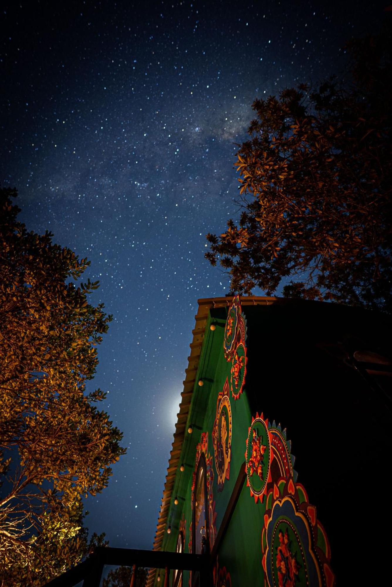 Treedom Villas And Vardos Wildernis Dış mekan fotoğraf